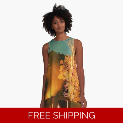 Le Studio A Line Dress Fire in the Sky Sept 2019